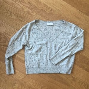 Everlane Cashmere V-neck
